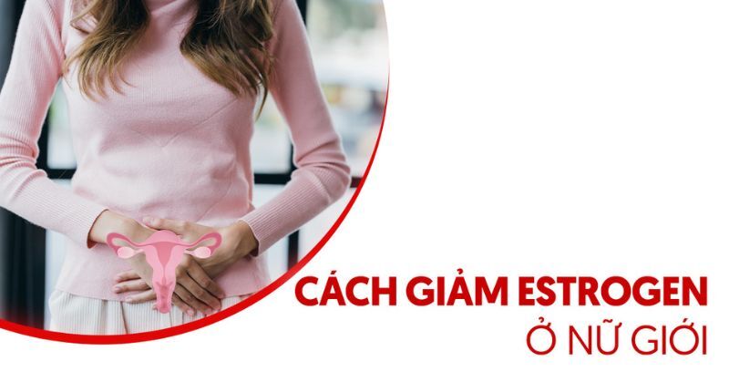 cách giảm estrogen ở nữ giới