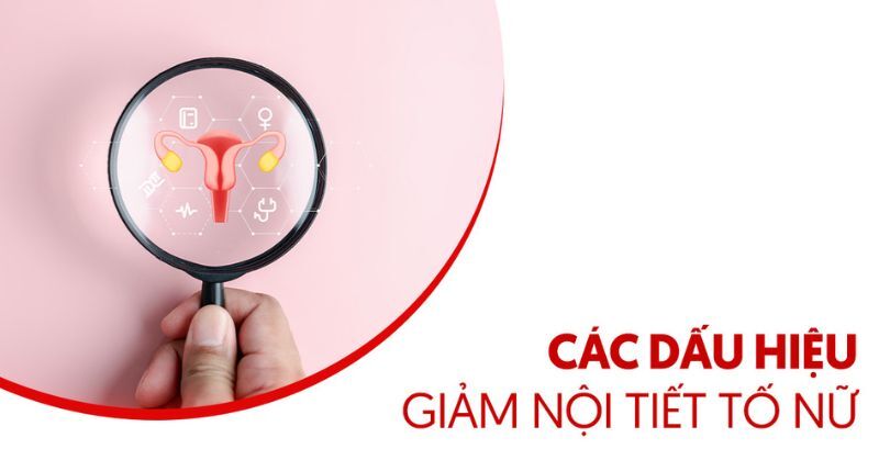dấu hiệu giảm nội tiết tố nữ