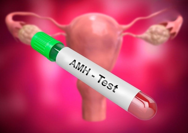 Xét nghiệm AMH là gì? Ý nghĩa của chỉ số AMH trong sinh sản