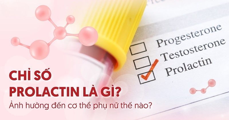 Chỉ số Prolactin là gì, ảnh hưởng trực tiếp đến cơ thể phụ nữ như thế nào?