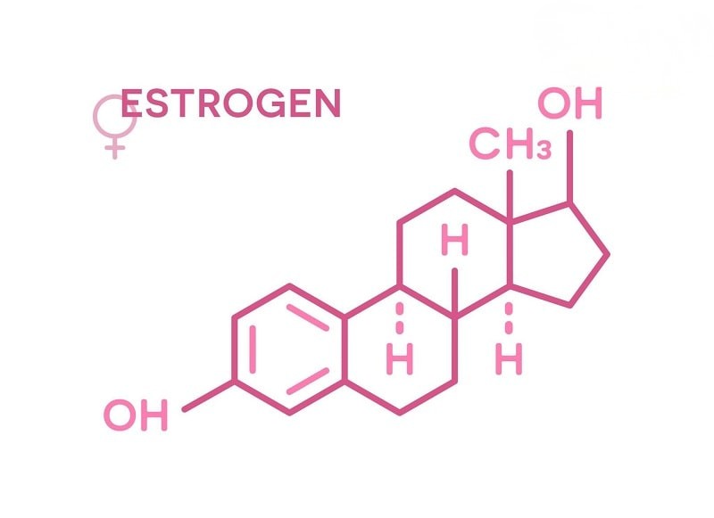 Hormone Estrogen là gì? Nồng độ Estrogen có vai trò gì?