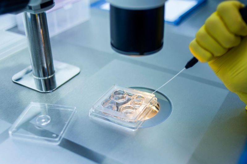 Thụ tinh trong ống nghiệm IVF