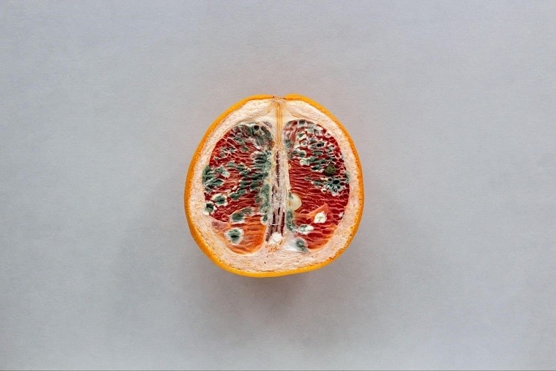 Viêm nhiễm âm đạo là tình trạng xuất hiện phổ biến ở chị em