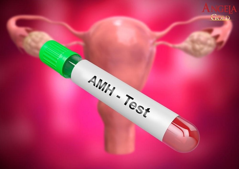 Xét nghiệm AMH là gì? Ý nghĩa của chỉ số AMH trong sinh sản
