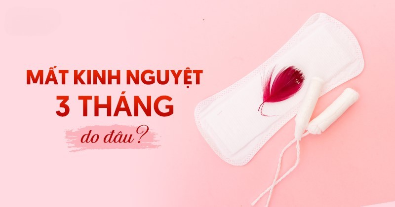 Mất kinh nguyệt 3 tháng: Nguyên nhân và cách điều trị như thế nào?