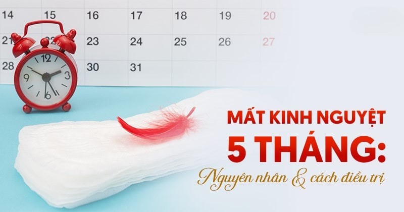 Mất kinh nguyệt 5 tháng: Nguyên nhân do đâu và cách điều trị