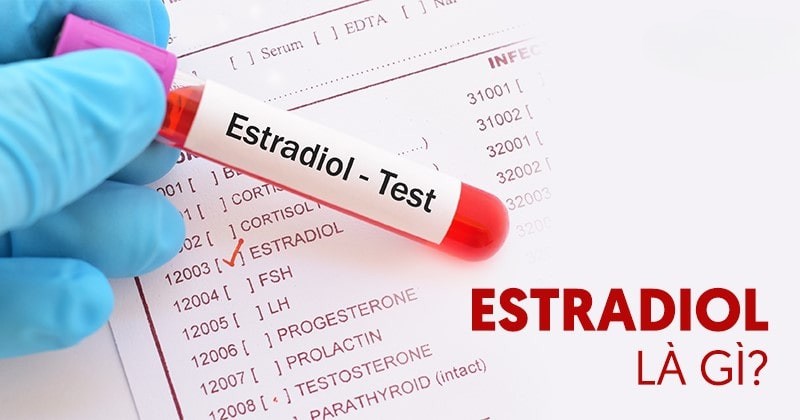 Estradiol là gì? Bao nhiêu là bình thường? Có vai trò gì với phụ nữ?