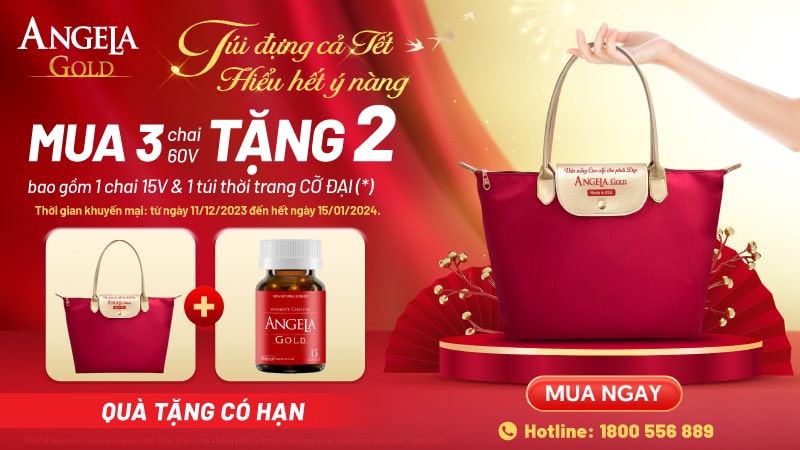 TÚI ĐỰNG CẢ TẾT – HIỂU HẾT Ý NÀNG