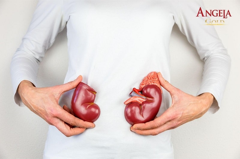 Điều trị rối loạn nội tiết do thận dương hư