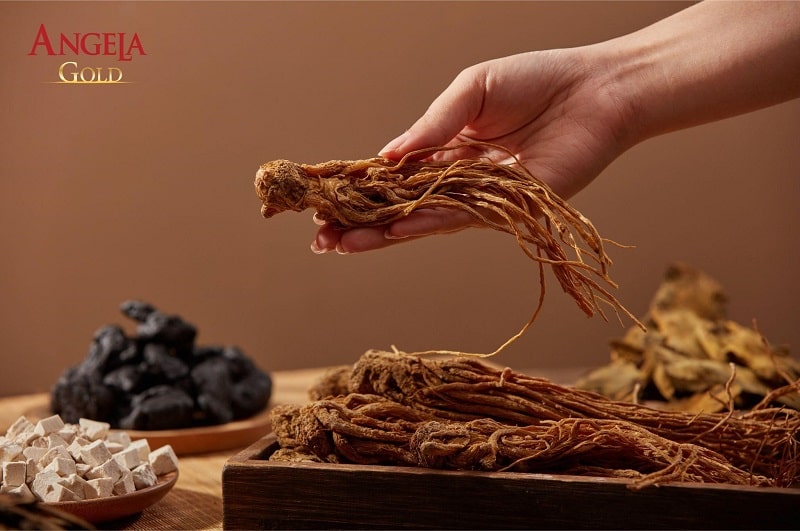 Bài thuốc đông y sử dụng đương quy