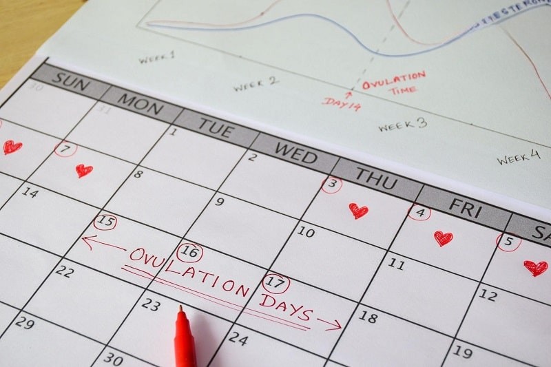 Ngày rụng trứng của mỗi phụ nữ không giống nhau, chúng phụ thuộc vào sự thay đổi của mỗi chu kỳ kinh nguyệt.