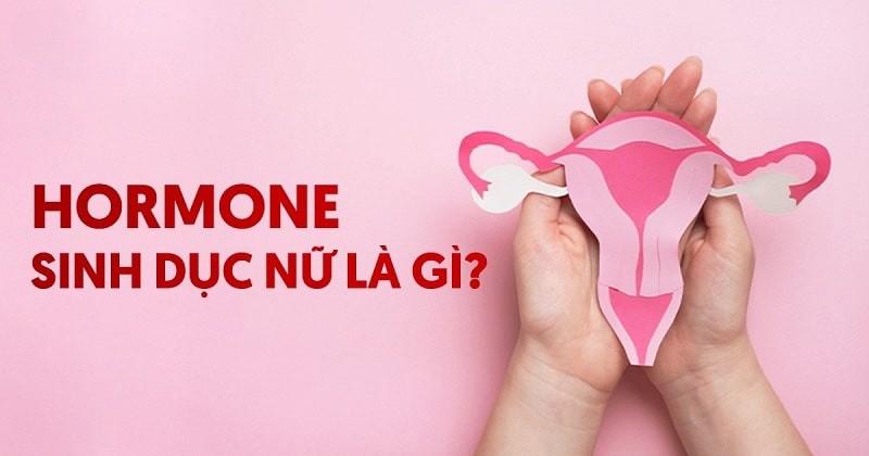 Hormone nữ là gì? Vai trò với cơ thể và cách phân loại