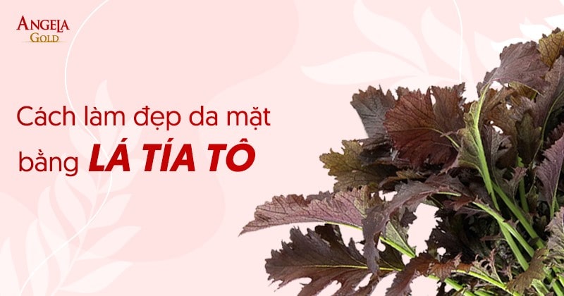 Top 8 cách làm đẹp da mặt bằng lá tía tô hiệu quả đơn giản