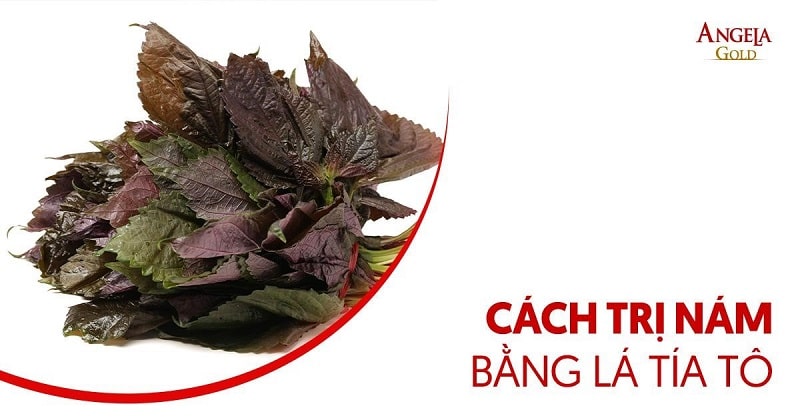Top 11 cách trị nám bằng lá tía tô được chuyên gia tư vấn
