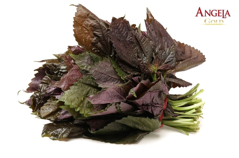 Cách trị nám bằng lá tía tô