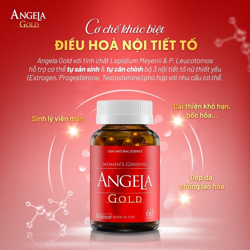 viên uống angela gold bổ sung nội tiết tố