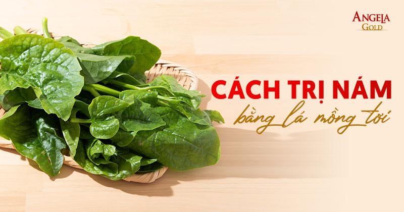 12 cách trị nám bằng lá mồng tơi được nhiều chị em áp dụng