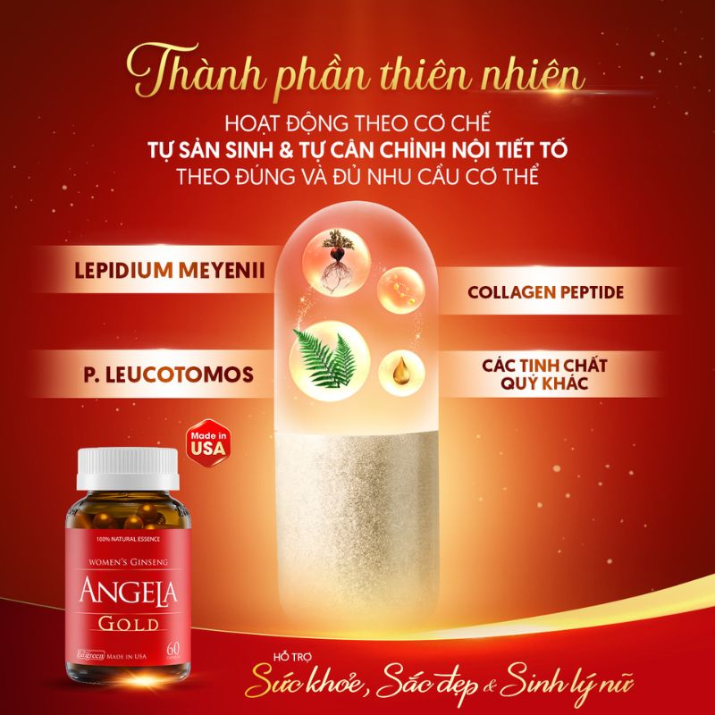 Bổ sung dưỡng chất từ thiên nhiên trong Angela Gold hỗ trợ điều hòa nội tiết tố, giảm nguy cơ tăng cân mãn kinh