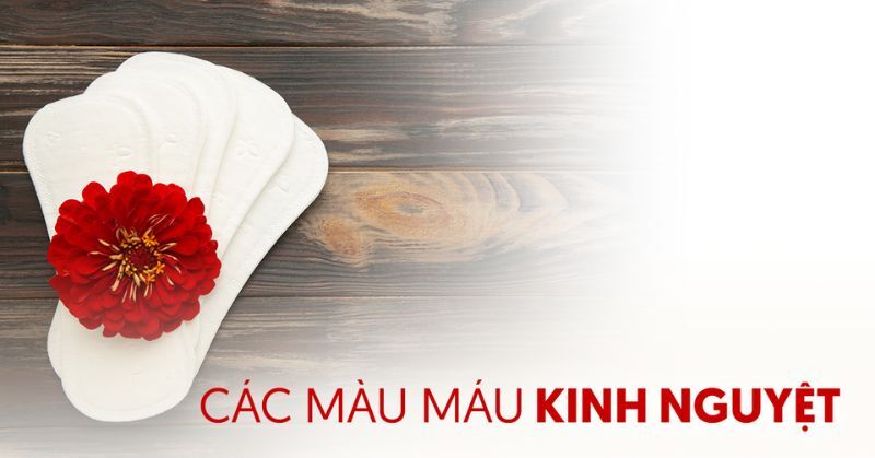 7 màu máu kinh nguyệt và các vấn đề thường gặp