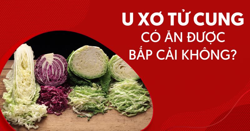 Liệu người bị u xơ tử cung có được ăn bắp cải không?