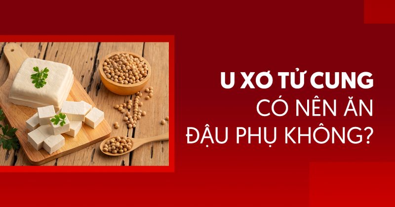 Người bị u xơ tử cung có nên ăn đậu phụ không?