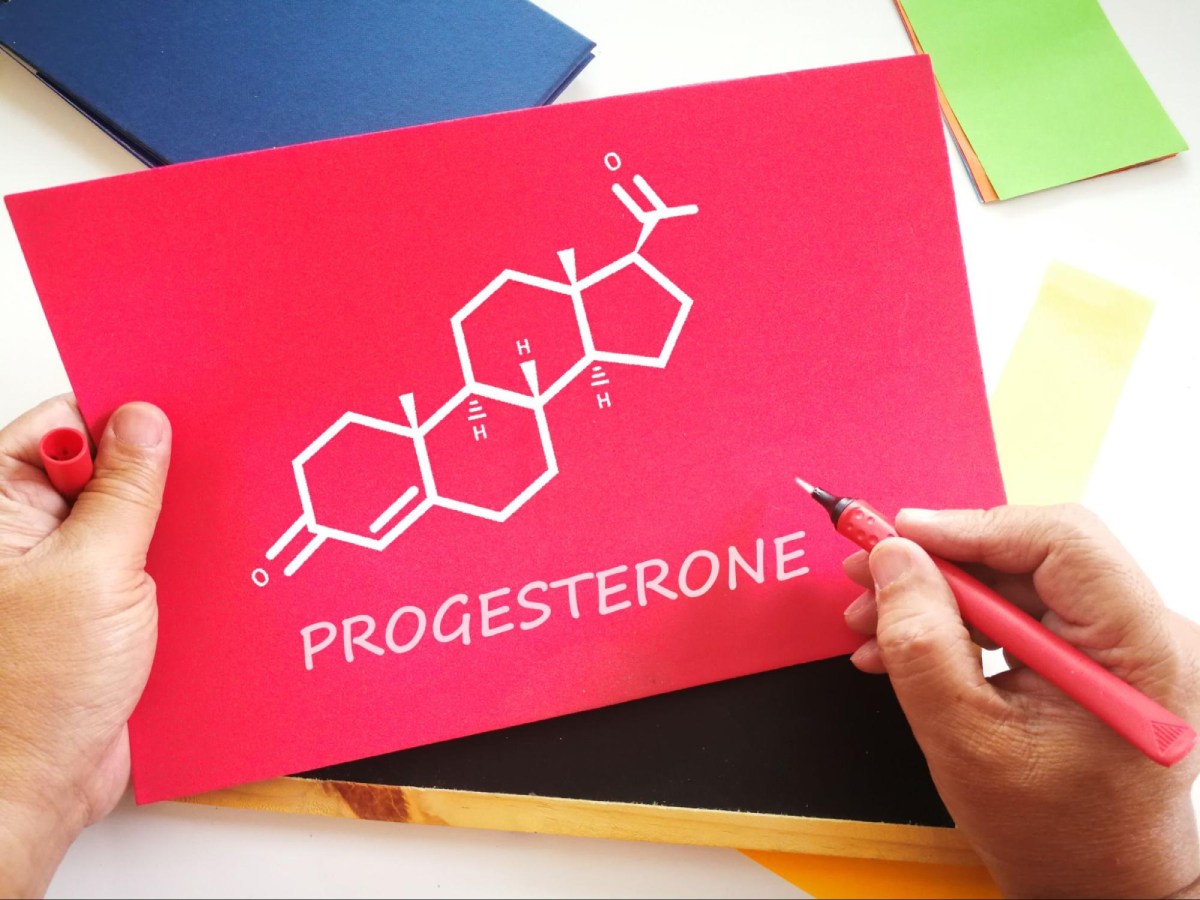 hormone progesterone